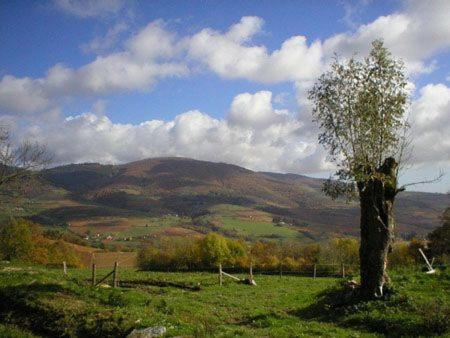 Le Colombier D'Amalthee Villa Vernay Eksteriør billede